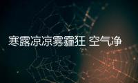 快排公司十年历程，霸屏兔 seo 的崛起与坚守