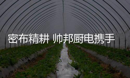 管理者还是厨电领导者