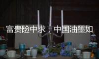 富贵险中求，中国油墨如何继续保持稳增长?