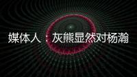 快排公司十年历程，霸屏兔 seo 的崛起与坚守