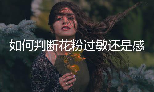 春光明媚的何判三月