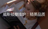威斯顿壁挂炉：精英品质 温暖你我