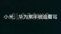 小米�、华为常年被追着骂
？前魅族高管李楠撕了车圈的遮羞布！