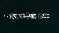 小米实习生招聘！250/天！留学生优先&餐补
！世界 500 强offer!