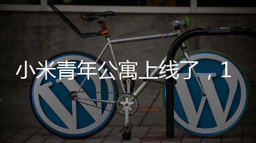无疑是小米很划算的福利了