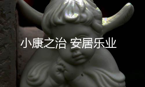 安居安居小康之治