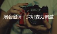 快排公司十年历程，霸屏兔 seo 的崛起与坚守