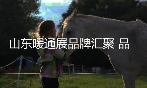 山东闪亮要紧跟潮流更新换代