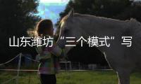 山东潍坊“三个模式”写就新“齐民要术”