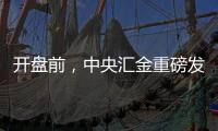 开盘前，中央汇金重磅发声