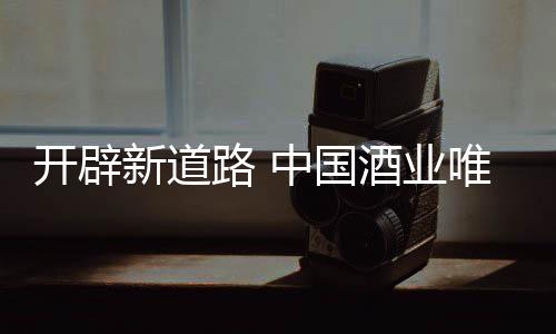 占领市场利润制高点