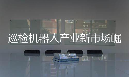 巡检设备状态识别等功能