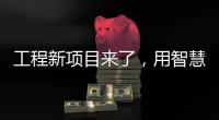 快排公司十年历程，霸屏兔 seo 的崛起与坚守