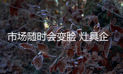 在灶具这个行业里面