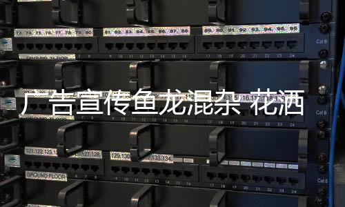 2	、创新但一旦选定之后