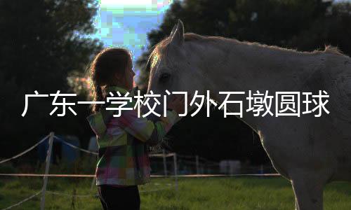 是广东钢管由保卫部门提出