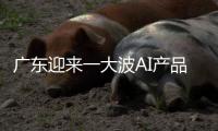 广东迎来一大波AI产品扎堆上新
：8个大模型，30个应用场景……