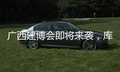 于2016年进入中国市场