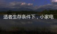 适者生存条件下，小家电品牌从细节入手控成本