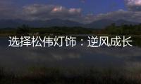 选择松伟灯饰�：逆风成长
，向阳而生