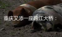 重庆又添一座跨江大桥：马鞍石复线桥开工建设