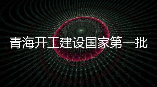 本次集中开工项目中