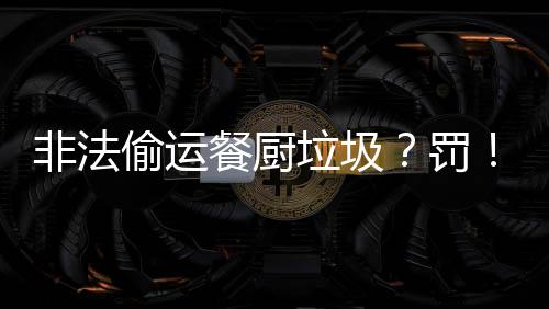 立即启动应急响应机制