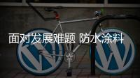 快排公司十年历程，霸屏兔 seo 的崛起与坚守