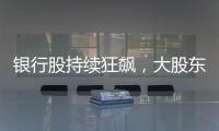 银行股持续狂飙
，大股东也踏空了？