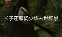长子还原杨少华去世场景
！头晕送医半路离世，杨议隐瞒细节惹争议
