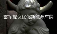 雷军提议优化新能源车牌设计，网友
	：期待个性化色彩样式