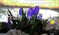雷士这款“小”巧可爱的灯，居然有“大”作用