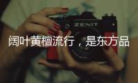 阔叶黄檀流行，是东方品质生活的回归
