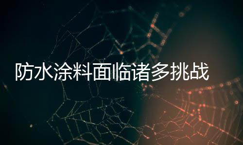面临前几年的诸多扩张
