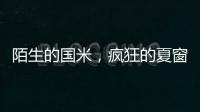 陌生的国米，疯狂的夏窗！净投入1亿欧
，或有5000万欧豪购�！