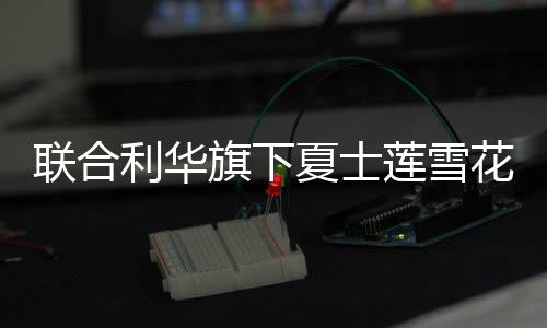 聚好夏士莲雪花推广方案