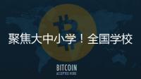 快排公司十年历程，霸屏兔 seo 的崛起与坚守