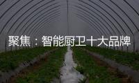 聚焦：智能厨卫十大品牌2020年立足点在哪里?
