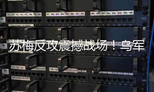 2024年累计伤亡已达42.7万