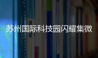 苏州国际科技园闪耀集微大会，展现千亿级“硬核科技”实力