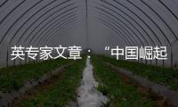 英专家文章：“中国崛起见顶”是西方一厢情愿