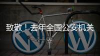 致敬！去年全国公安机关382名民辅警因公牺牲