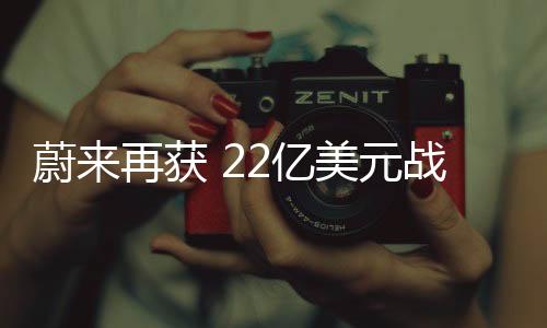 投资还将帮助其开拓国际业务