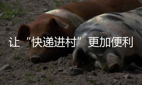 快递进村比如在一些西部地区