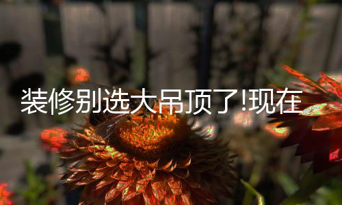 大吊灯过于繁杂的装修造型