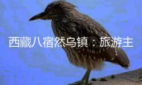 西藏八宿然乌镇：旅游主线带动产业协调发展