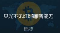 见光不见灯!鸿雁智能无主灯
，比你想象的更好