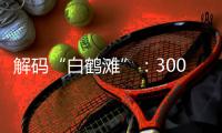 解码“白鹤滩”：300米级大坝无一毫米级温度裂缝