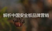 快排公司十年历程，霸屏兔 seo 的崛起与坚守