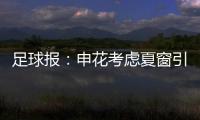 足球报
：申花考虑夏窗引进外援前锋，米内罗已基本赛季报销